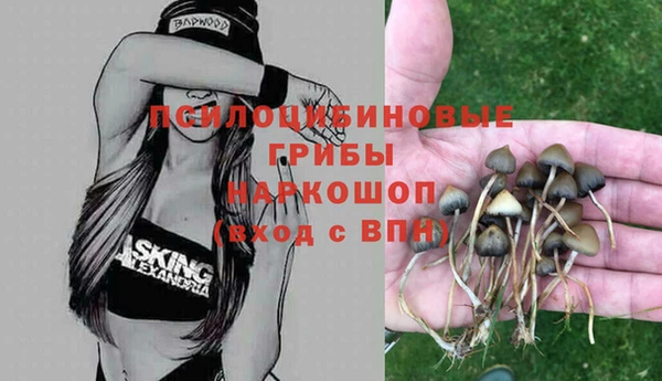 кокаин колумбия Белокуриха