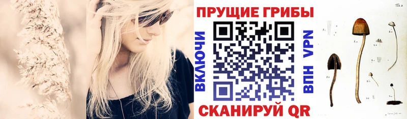 Псилоцибиновые грибы прущие грибы  блэк спрут вход  Томмот 